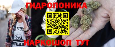 бошки Моздок