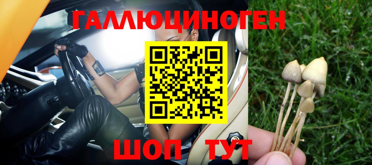Галлюциногенные грибы GOLDEN TEACHER Гатчина